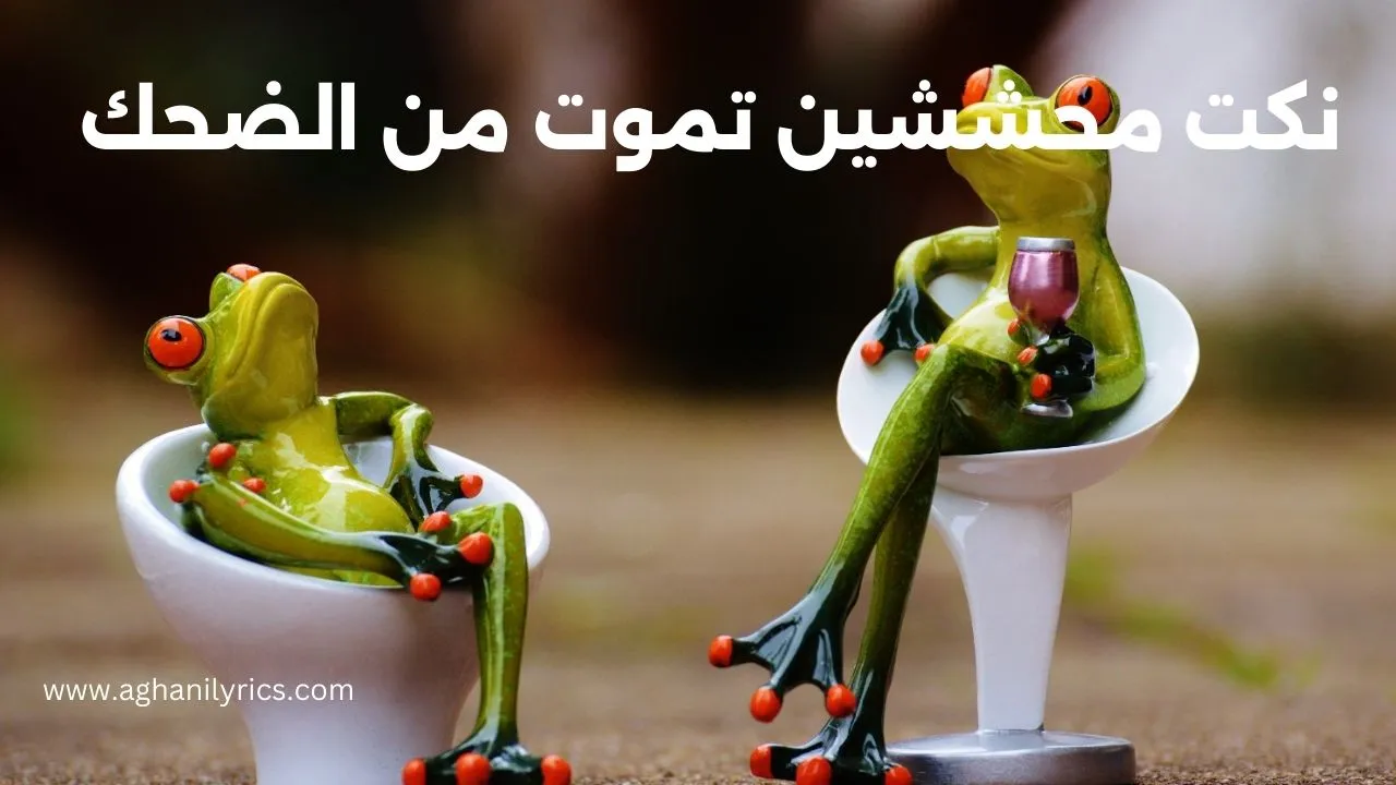 نكت محششين تموت من الضحك